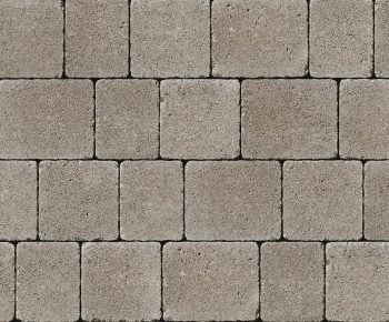 Tegula Natural