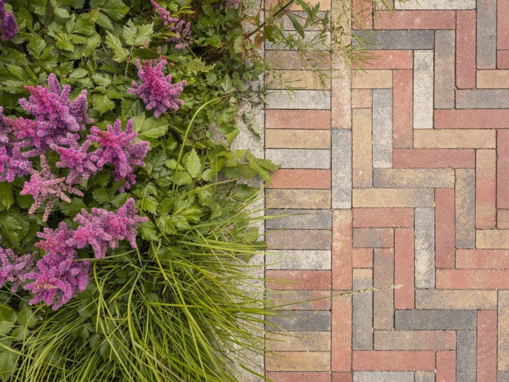 Artro Heather, Bracken, Slate, Carbon & Autumn