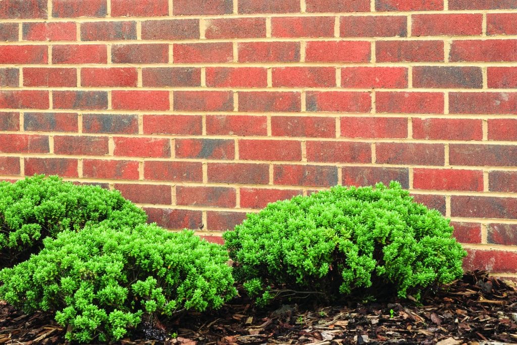 red facing brick