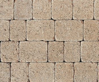 Tegula Sett Golden